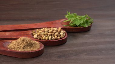 Kuru kişniş tohumları ile küçük bambu kaşıkları ve yeşil taze kişniş yaprakları, Asya 'nın mutfağında bulunan ünlü baharatlar..