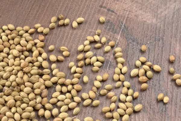 stock image Coriander seeds for coriander powder, Indian Spices and herbs.