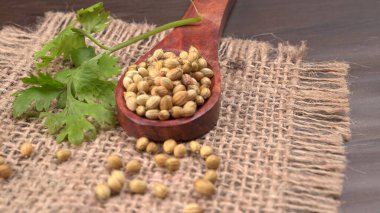 Kuru kişniş tohumları ile küçük bambu kaşığı ve yeşil taze kişniş yaprakları, Asya 'nın mutfağında bulunan ünlü baharatlar..