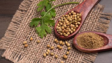 Kuru kişniş tohumları ile küçük bambu kaşıkları ve yeşil taze kişniş yaprakları, Asya 'nın mutfağında bulunan ünlü baharatlar..