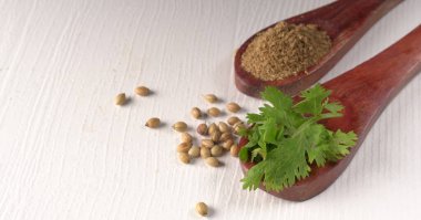 Kuru kişniş tohumları ile küçük bambu kaşıkları ve yeşil demet kişniş yaprakları, beyaz arka planda ünlü baharatlar.