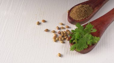 Kuru kişniş tohumları ile küçük bambu kaşıkları ve yeşil demet kişniş yaprakları, beyaz arka planda ünlü baharatlar.