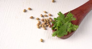Kuru kişniş tohumları ile küçük bambu kaşıkları ve yeşil demet kişniş yaprakları, beyaz arka planda ünlü baharatlar.