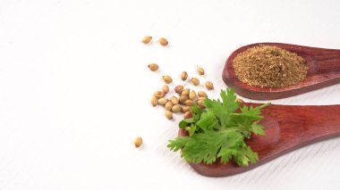 Kuru kişniş tohumları ile küçük bambu kaşıkları ve yeşil demet kişniş yaprakları, beyaz arka planda ünlü baharatlar.