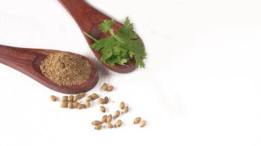 Kuru kişniş tohumları ile küçük bambu kaşıkları ve yeşil demet kişniş yaprakları, beyaz arka planda ünlü baharatlar.