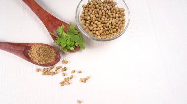 Kuru kişniş tohumları ile küçük bambu kaşıkları ve yeşil demet kişniş yaprakları, beyaz arka planda ünlü baharatlar.