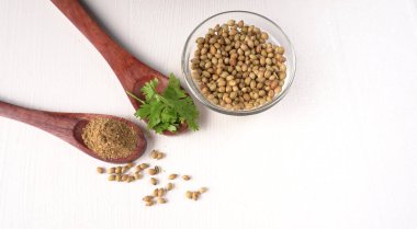 Kuru kişniş tohumları ile küçük bambu kaşıkları ve yeşil demet kişniş yaprakları, beyaz arka planda ünlü baharatlar.