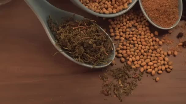 Especiarias Indianas Ervas Fundo Madeira Alimentos Ingredientes Cozinha — Vídeo de Stock