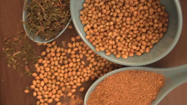 Indyjskie Przyprawy Zioła Drewnianym Tle Składniki Żywności Kuchni — Wideo stockowe