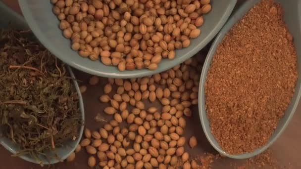 Indische Gewürze Und Kräuter Auf Holzgrund Lebensmittel Und Zutaten Der — Stockvideo