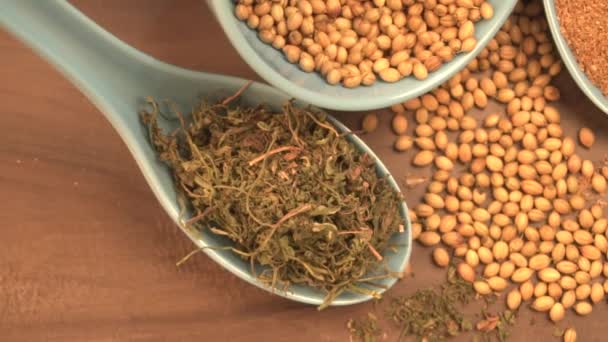Indiska Kryddor Och Örter Trä Bakgrund Livsmedel Och Köksingredienser — Stockvideo