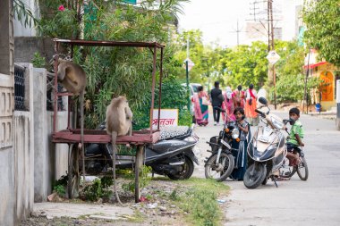Hindistan 'da motosiklet yanında Hintli çocuklar