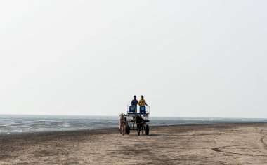 ALIBAG, MAHARASHTRA, INDIA -  25 March 2024 : Unidentified tourist riding a two-wheeled carriage at Alibag beach near Kolaba Fort in morning. clipart