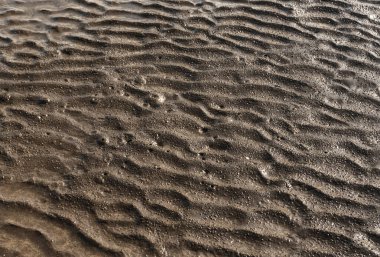 Kumsalın ıslak dokusu, yakın çekim manzarası.