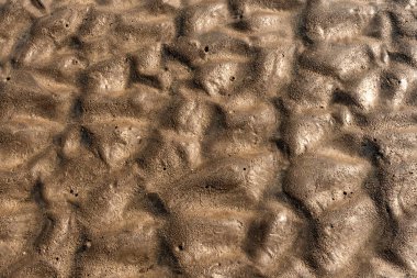 Kumsalın ıslak dokusu, yakın çekim manzarası.