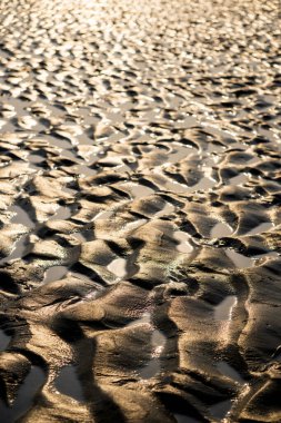 Kumsalın ıslak dokusu, yakın çekim manzarası.