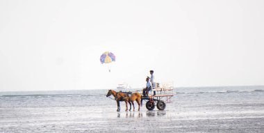 ALIBAG, MAHARASHTRA, INDIA - 25 Mart 2024: Kimliği belirsiz turist sabah Kolaba Kalesi yakınlarındaki Alibag plajında iki tekerlekli bir arabaya biniyor.