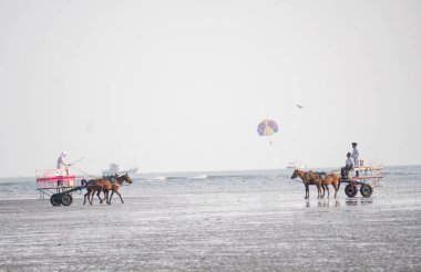 ALIBAG, MAHARASHTRA, INDIA - 25 Mart 2024: Kimliği belirsiz turistler sabah Kolaba Kalesi yakınlarındaki Alibag plajında iki tekerlekli bir arabaya biniyorlar.