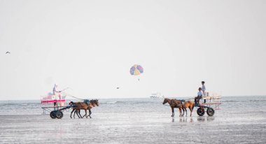 ALIBAG, MAHARASHTRA, INDIA - 25 Mart 2024: Kimliği belirsiz turistler sabah Kolaba Kalesi yakınlarındaki Alibag plajında iki tekerlekli bir arabaya biniyorlar.