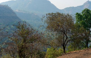 Hindistan 'da dağları olan güzel bir manzara, Pune.