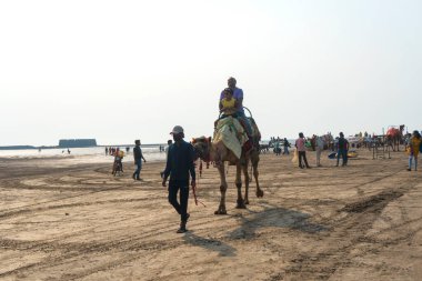 ALIBAG, MAHARASHTRA, INDIA - 25 Mart 2024: Kolaba Kalesi yakınlarındaki Alibag plajında kimliği belirsiz turistler deveye biniyor.