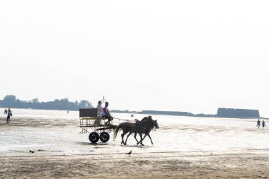 ALIBAG, MAHARASHTRA, INDIA -  25 March 2024 : Unidentified tourists riding a two-wheeled carriage at Alibag beach near Kolaba Fort in morning. clipart