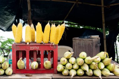 Markette mısır koçanları, Hindistan 'da sokak yemekleri. 