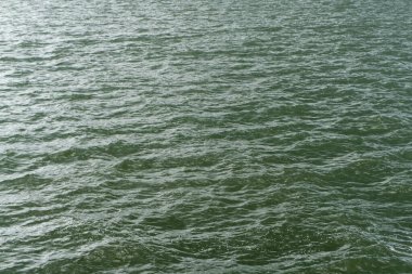 Sakin deniz dalgaları, su yüzeyi 