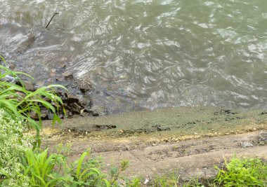 Hindistan, Lonavala 'daki Bhushi barajında su kanalı.