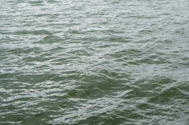 Sakin deniz dalgaları, su yüzeyi 