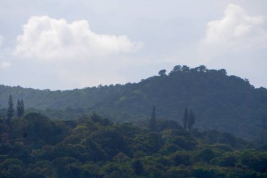 Hindistan 'da yeşil ormanlarla kaplı dağlar 