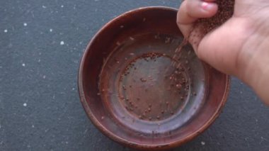 Kadın eli klozete çiğ Ragi Taneleri döküyor.