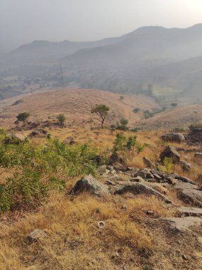 Kızarmış patates ve sebze.