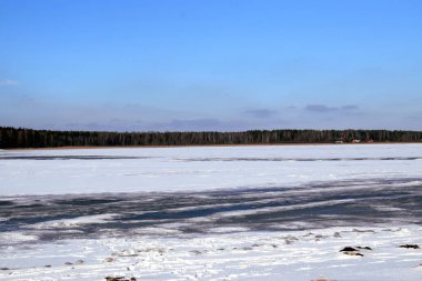 Ağaçların arka planında yaprakları olmayan karla kaplı bir çayır ve yolda bir köpek