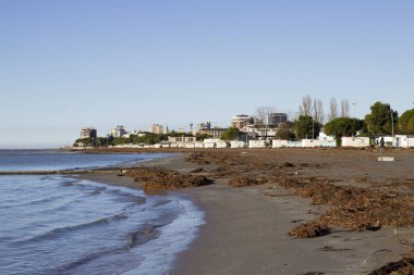 Fırtına üstüne fırtına, deniz yosunu, bitkiler ve odun İtalya, Grado 'da kıyıya vurur.