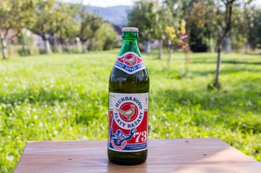 Bir şişe Zlaty Bazant retro etiketi, Slovakya birası küçük ahşap bir masada bahçede.