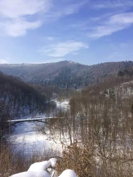 Karla kaplı güzel kış manzarası