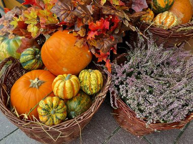 Turuncu ve yeşil kabaklar sepette