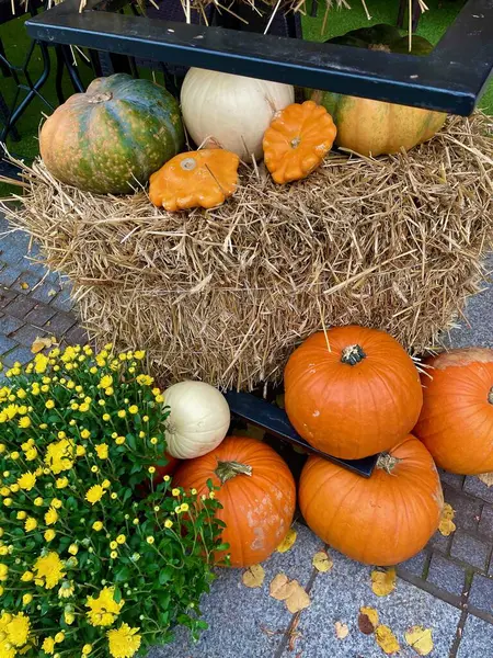 Bir saman demetinin yanına yerleştirilmiş turuncu balkabakları.