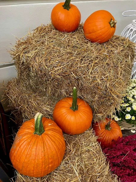 Bir saman demetinin yanına yerleştirilmiş turuncu balkabakları.