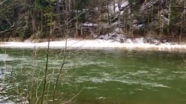 Pieniny Dağları 'nda bir dağ nehri, kıyıda büyük taşlar ve yoğun bir orman.