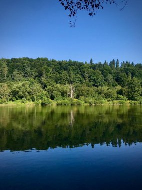 Temiz su ve ona yansıyan yalnız bir ağaç..