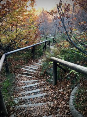 Bieszczady Dağları, merdivenler aşağı iniyor..