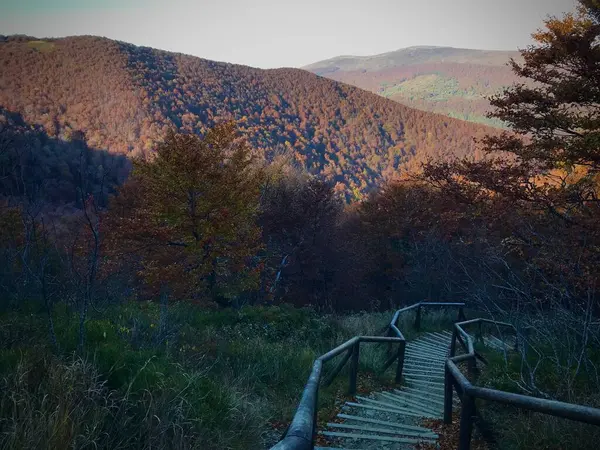 Bieszczady Dağları, merdivenler aşağı iniyor..