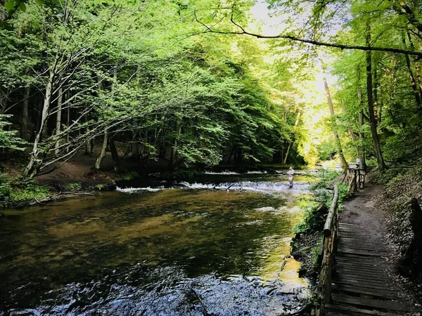 Tanew Nehri 'nde bir kaya eşiği, Tanew Nehri' ndeki sözde sesler.