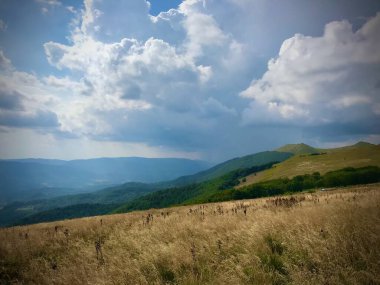 Bieszczady Dağları, uzaktaki patika manzarası, fırtına bulutu ve düşen yağmur.