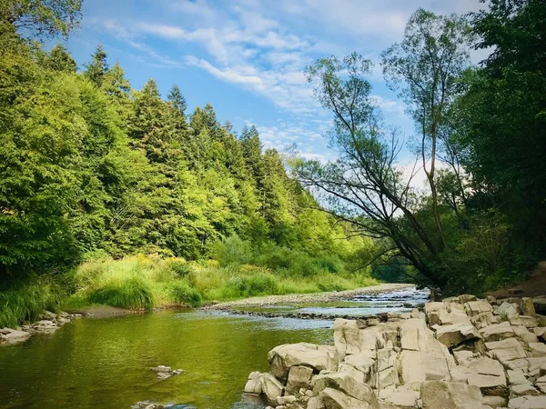 Bieszczady Dağları 'nda bir orman nehri, kıyıda taşlar var..