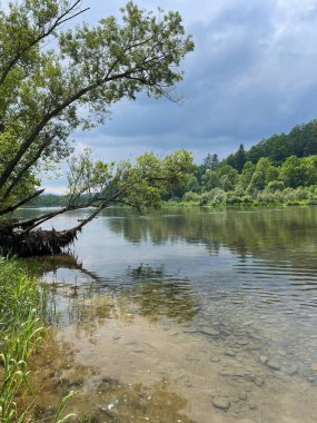 Dağ nehri çok berrak su, yağmurdan önce bulutlu hava.