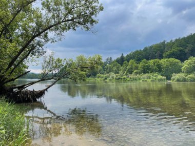 Dağ nehri çok berrak su, yağmurdan önce bulutlu hava.