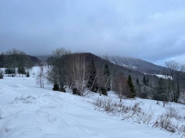 Bieszczady Dağları 'ndaki karla kaplı tepeler gibi kalın kış bulutları.